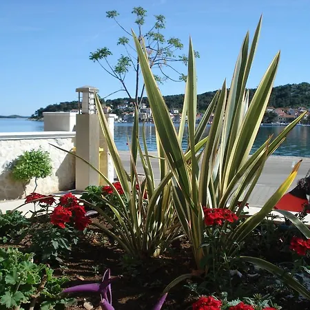 Apartament Apartment Tisno