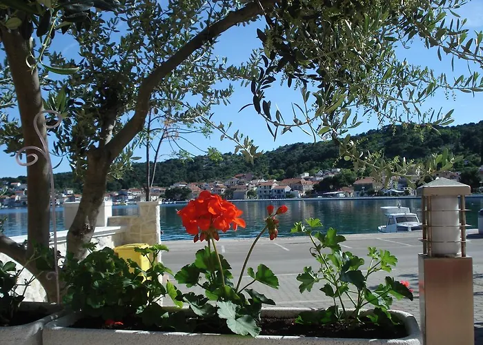 Apartment Tisno Tisno