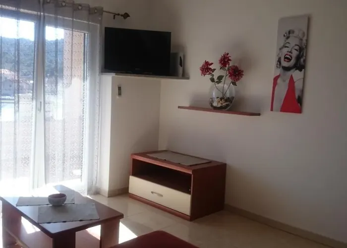 Apartment Tisno 公寓 *